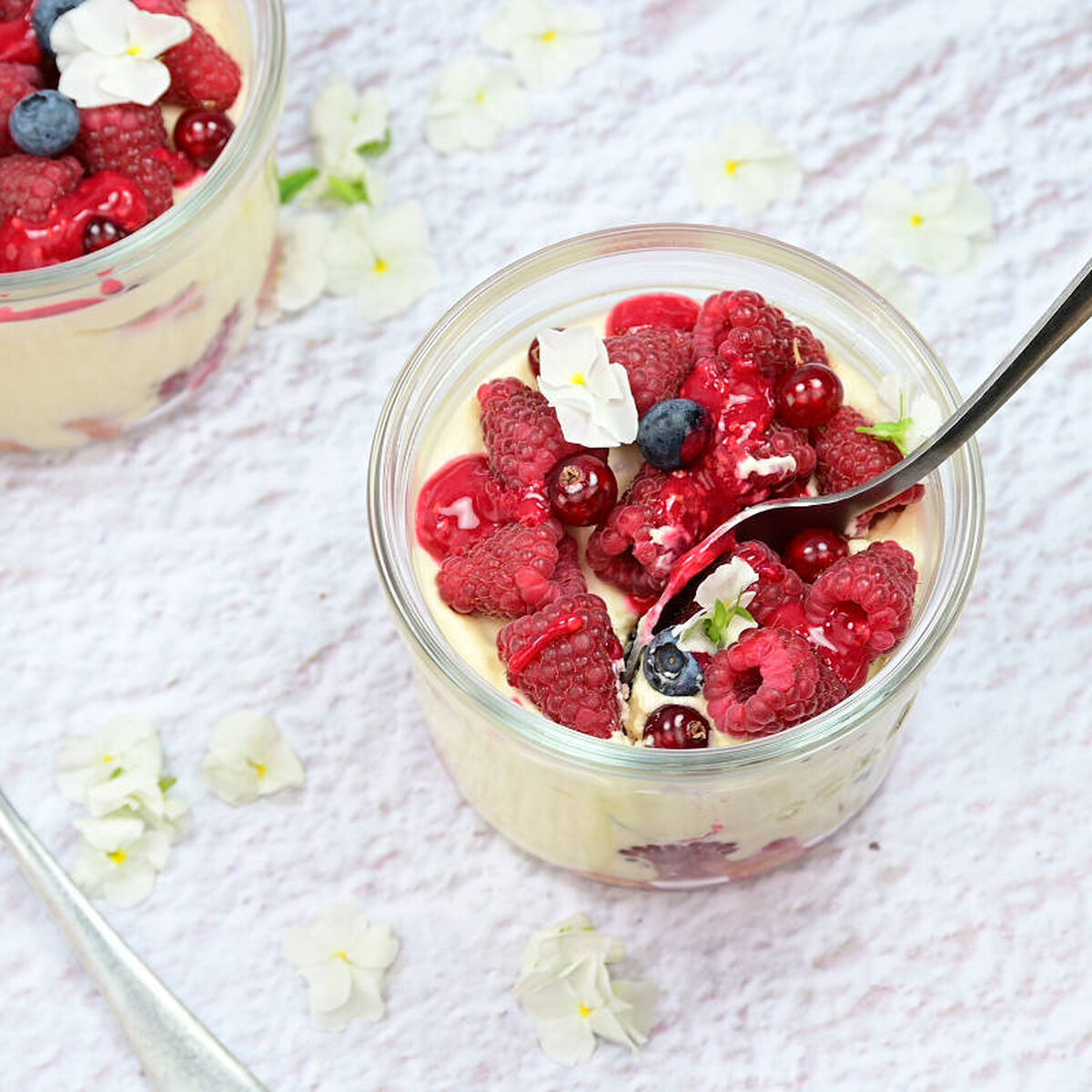 Red Berry Tiramisu-1