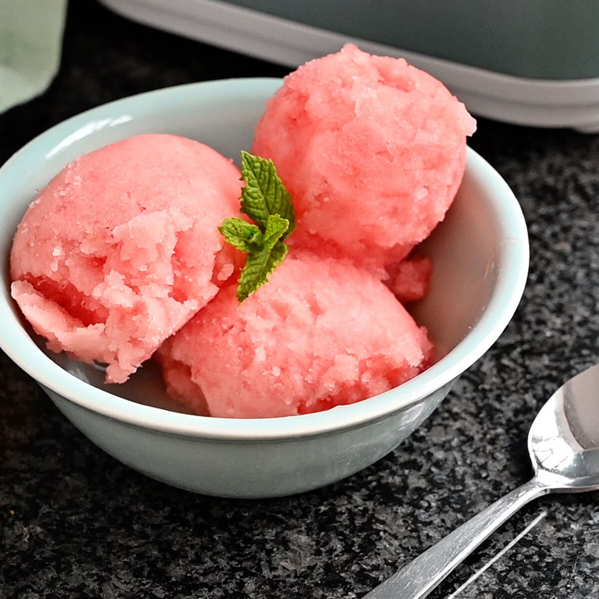 Watermelon Sorbet-1